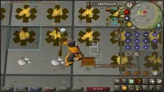 firebwans