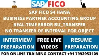SAP FICO S4 HANA, BUSINESS PARTNER REL-TIME ERROR, NO TRANSFER OF INTERVAL FOR OBJECT BU_PARTNER