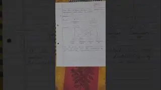 Find the Pedigree Analysis When Father is Colourblind and Mother is Carrer