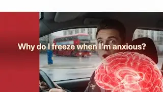 How to Break the 'Freeze Response' on Your Driving Test