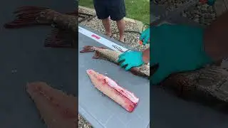 How to fillet and clean Jack fish by this Canadian master.