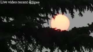 Lunar Eclipse  2020 l July 2020 l Lunar Eclipse 5 July 2020 l 🔴LIVE VIEW