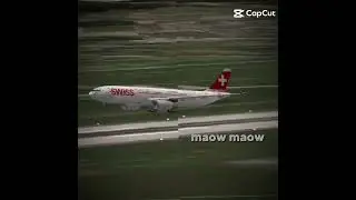 Ziar zai zai zai zai zai zair maow maow maow maow maow maow maow