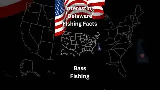 Interesting Delaware Fishing Facts, Bass Fishing