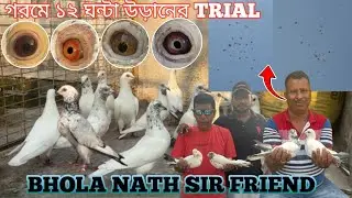 ANDHA PIGEON COLLECTION || BHOLA NATH SIR FRIEND KARTIK SIR || STAR KALANKA #soumanpigeonlover