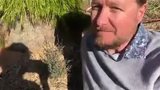 Damian Wrigley, Australian Seed Bank takes the #plantchallenge