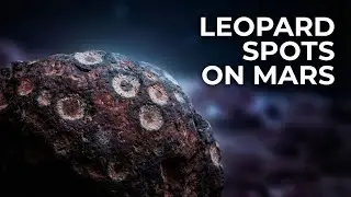 Explaining the &ldquo;Leopard Spot&rdquo; Patterns Found on Mars by Perseverance