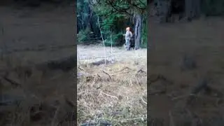 Ben rattling #deerhunting #muledeer #outdoors #hunting #oregonhunting #fyp #oregonoutdoors #bigdeer