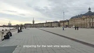Winter Beautiful 😍 view in Bordeaux France #trending #beautiful #winter 