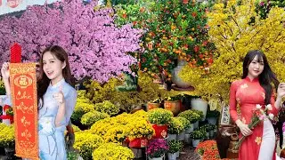 TẾT SÀI GÒN 2025| SÀI GÒN TƯNG BỪNG ĐƯỜNG HOA TẾT LỚN NHẤT|BẤT NGỜ BIỆT THỰ KHỦNG CỦA MR ĐÀM GẦN TẾT