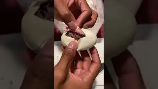 Самое интересное, что внутри этого яйца! 🙈🐍