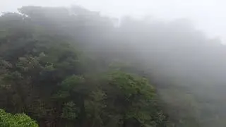 Amboli Ghat - Fog view
