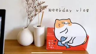 Simple everyday life: Unboxing Lev Haolam subscription box and Taobao buys, practicing piano