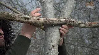 Building Primitive Tree House In The Forest