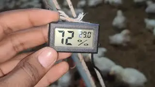 #Broiler Shed #broiler #farm #temperaturecontrol
