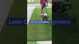 Lawn care for beginners