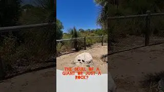💀 Giant Skull or Just a Rock? Nature Pareidolia