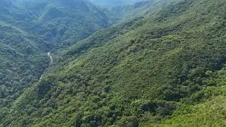 bosque seco tropical colombiano