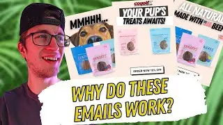 How To Set Up Replenishment Flow for Pet ECOMM Brands!
