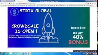 STRIX GLOBAL - STA Token Crowsale [Review ICO]