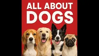 Find Your Perfect Dog Breed Match!