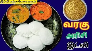 வரகு அரிசி இட்லி | varagu idli recipe in tamil