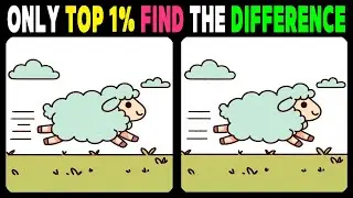 Spot the Difference: Only 1% Can Find Differences In 90 Seconds 【Find the Difference】