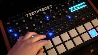 2026 Jamuary: Day 6 (kicks) + free sample pack in description