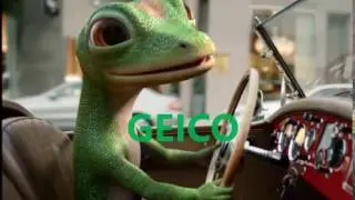 Geico Insurance Company