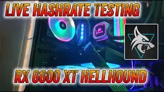 AMD RX 6600 XT Mining Hashrate Performance - Live Testing