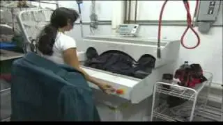 News 12 Go Green Dry Cleaning with Elizabeth Hashagen