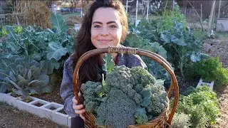 January Garden Tour 2021 // Central Texas Zone 8b