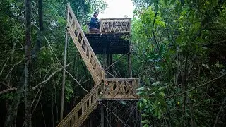 Girl Living Off The Grid, Build The Most Beautiful Bamboo Tree House Near My Village