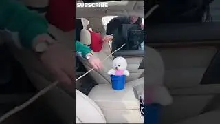 SCAM WITH DOG 🐶🤣😂 | MUST WATCH 2021 | #shorts #youtubeshorts #dogs #animalworld