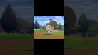 My Moment of Pok&eacute;mon Sword & Shield #3