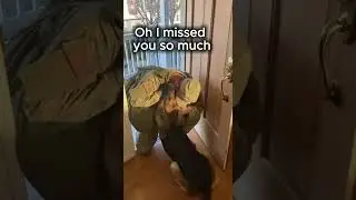 Солдат удивил свою собаку после командировки.