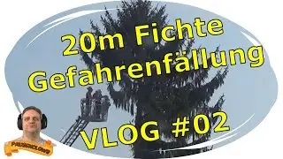 20m Fichte im Zeitraffer gef&auml;llt! - VLOG - Pausenclows