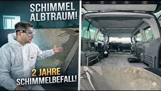 Schimmelalbtraum im T4 Bus - 2 Jahre Schimmelbefall endlich beseitigen!