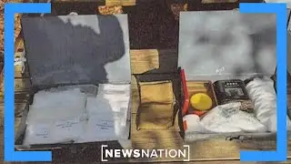 Why did FBI find so many explosives on Virginia suspect's farm? | Morning in America