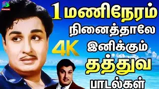 1 மணிநேரம் நினைத்தாலே இனிக்கும் தத்துவ பாடல்கள் | Mgr - Kannadasan Thathuva Padalgal