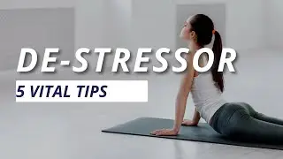 Stop Stressing. Just Watch This.