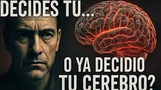 &iquest;Decides t&uacute;... o ya decidi&oacute; tu cerebro? El experimento de Benjamin Libet