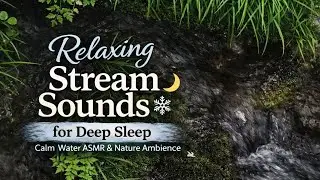 Relaxing Stream Sounds for Deep Sleep 🌙 Calm Water ASMR & Nature Ambience