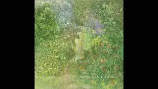 someday, maybe - Sam Porter Bridges