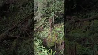 Explore the Sunset mining district, part1
