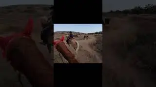 Туристы и наездники гармонично разделяют тропу ❤️ командная работа воплощает мечту в реальность #...