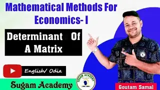 Determinant Of A Matrix || Mathmatical Methods For Economics- I || +3 Economics 