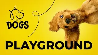 Amazing DOG WELLNESS Music | Relaxing Video for Pets