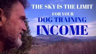 Why You Should Make More MONEY as a Dog Trainer!