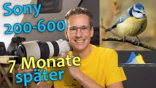 Sony 200-600 | 📸 Meine Erfahrungen 7 Monate später! Deutsch